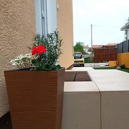 Apartman Sandra -Private Parking And Garden Zadar Dış mekan fotoğraf