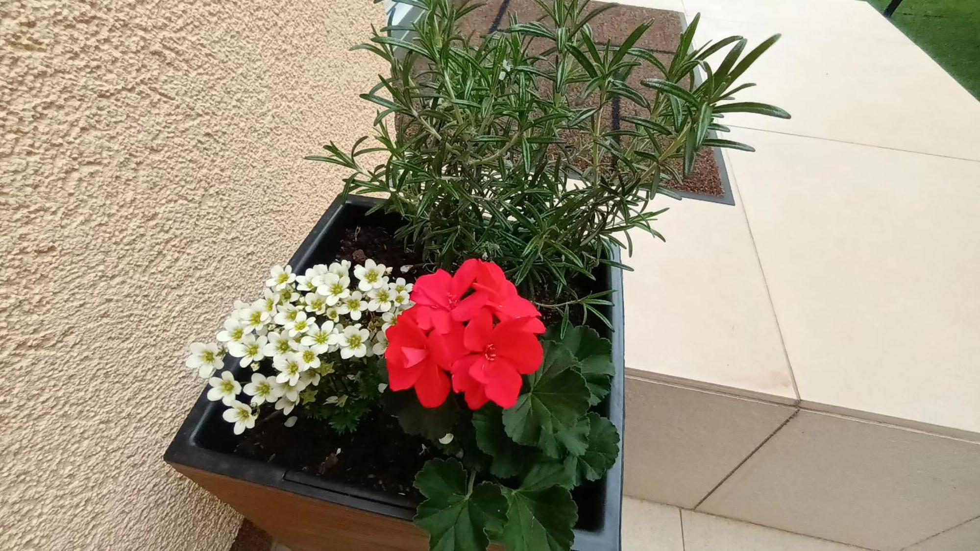 Apartman Sandra -Private Parking And Garden Zadar Dış mekan fotoğraf