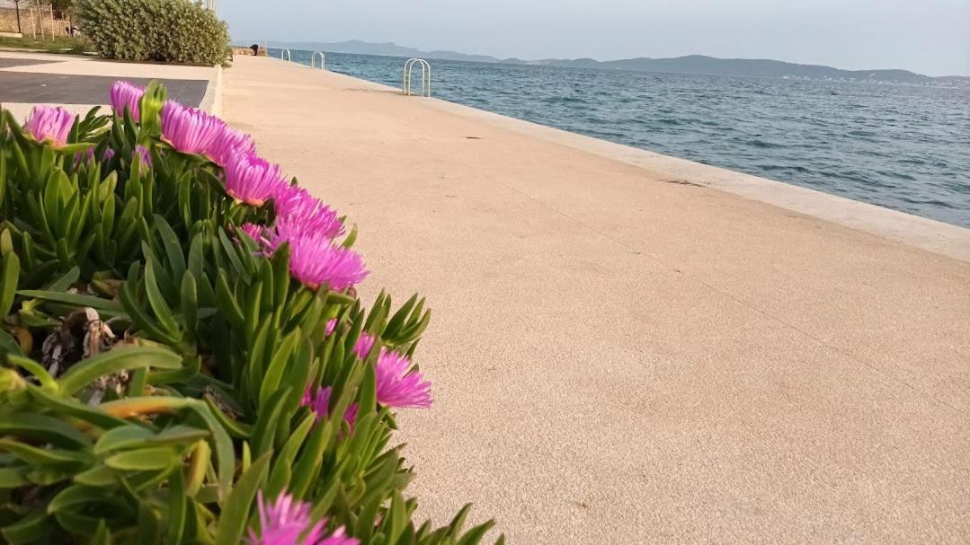 Apartman Sandra -Private Parking And Garden Zadar Dış mekan fotoğraf