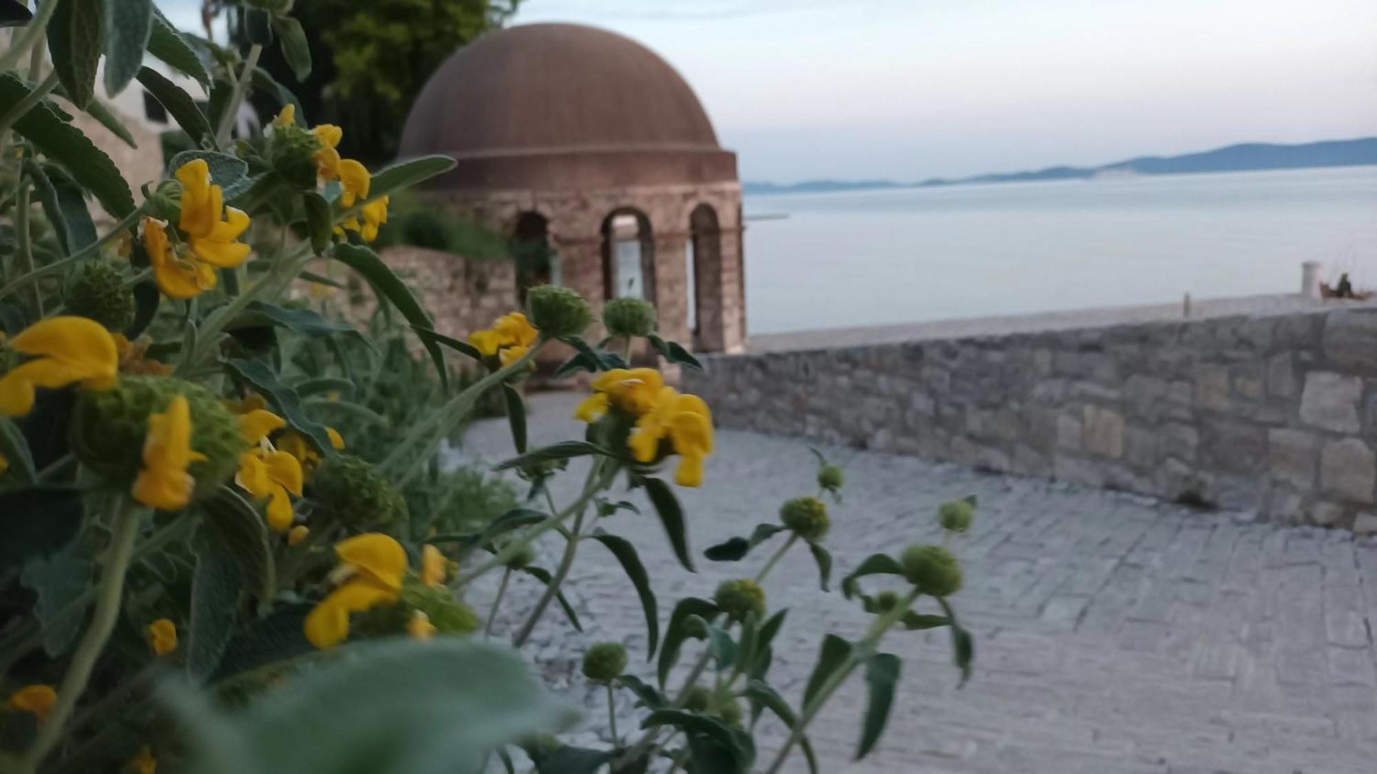 Apartman Sandra -Private Parking And Garden Zadar Dış mekan fotoğraf